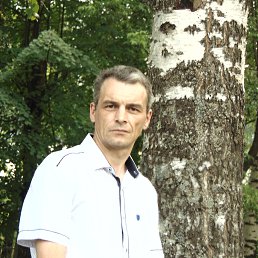 ���� �����, �����, 49 ��� - ��������� 31 ���� 2019