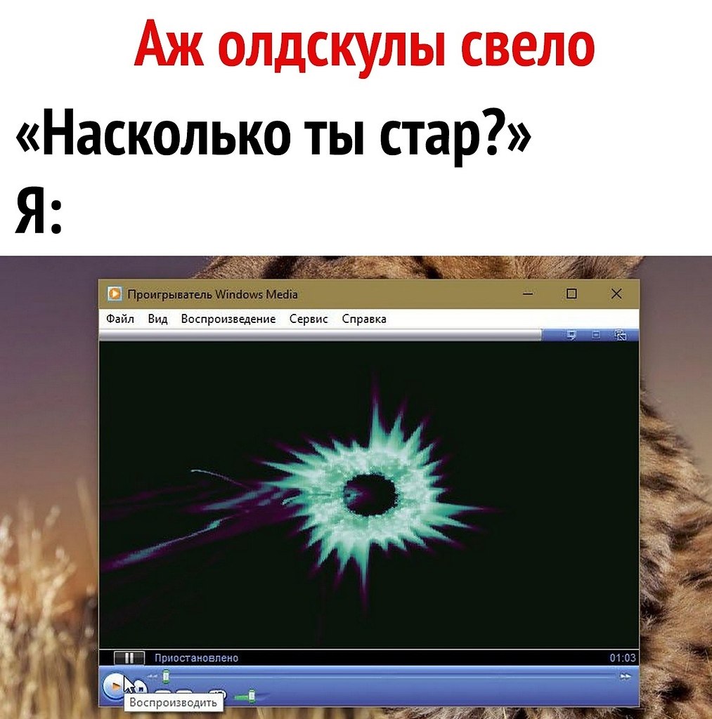  - 24  2019  03:09