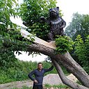 ���� �������, ������������, 47 ��� - ��������� 15 ���� 2019 � ������ ���� ����������