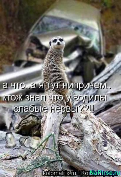 ***Victoria Viktorovna*** - 12  2019  07:17