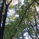 ���� Alex, �������, 55 ��� - ��������� 15 ������� 2019 � ������ ������ ��������