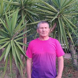 �����, �����������, 66 ���