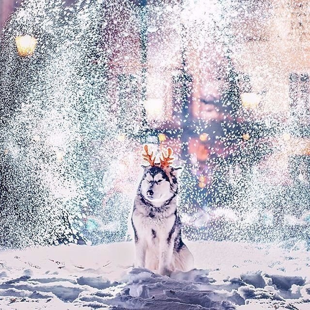    ! - 2