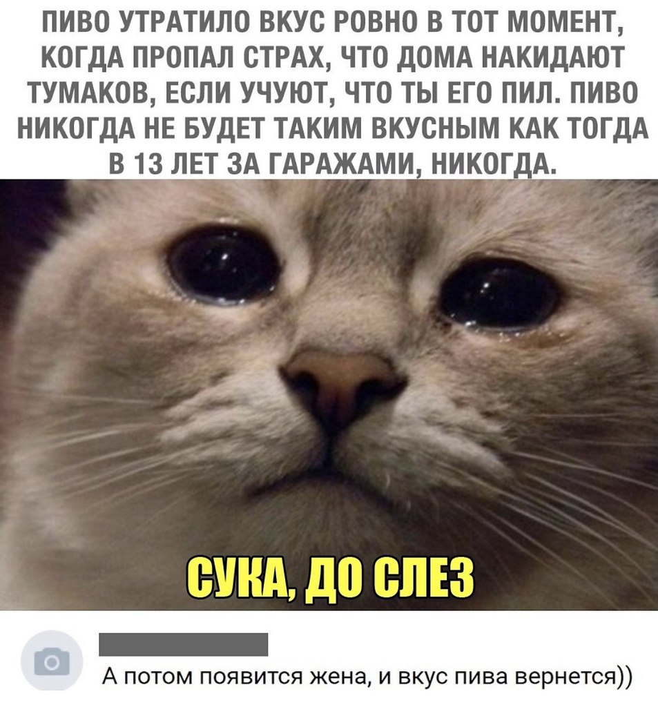  - 24  2019  03:33