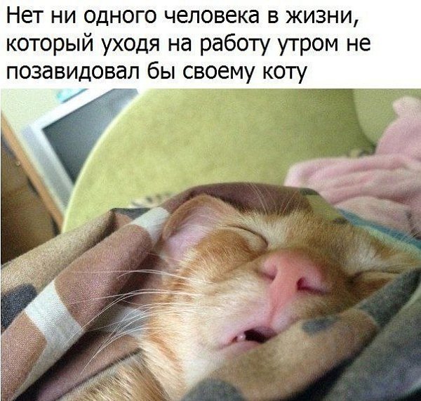  )
