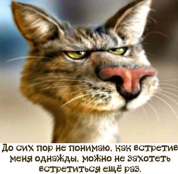***Victoria Viktorovna*** - 8  2019  19:27