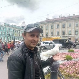 ���� ����, ���������, 46 ��� - ��������� 19 ���� 2019