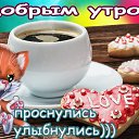 ���� �����, ������ �����, 73 ���� - ��������� 4 ������� 2019 � ������ ������ ��������