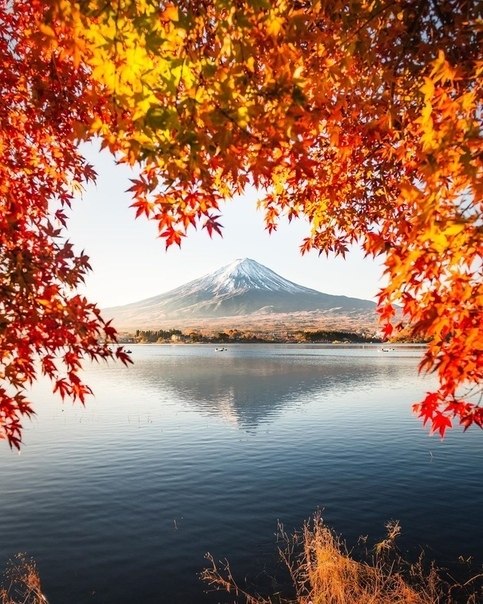 o  o o o.. Mount Fuji