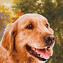 ���� Lara, ������� - ��������� 20 �������� 2019 � ������ �������