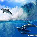 "��������-���� ����� ����.." �� ������� ���� ����������