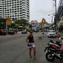  , , 53  -  22  2019    2019