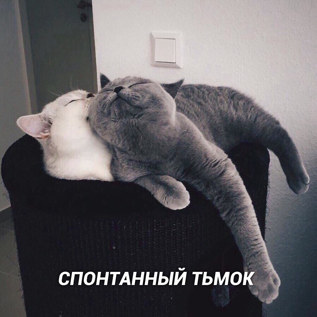 Bu o: - 2