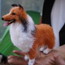 ���� �������, ���������, 49 ��� - ��������� 23 ���� 2019 � ������ ��������-2019�