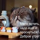 ���� �������, ������ - ��������� 23 ������� 2019 � ������ ������ ��������