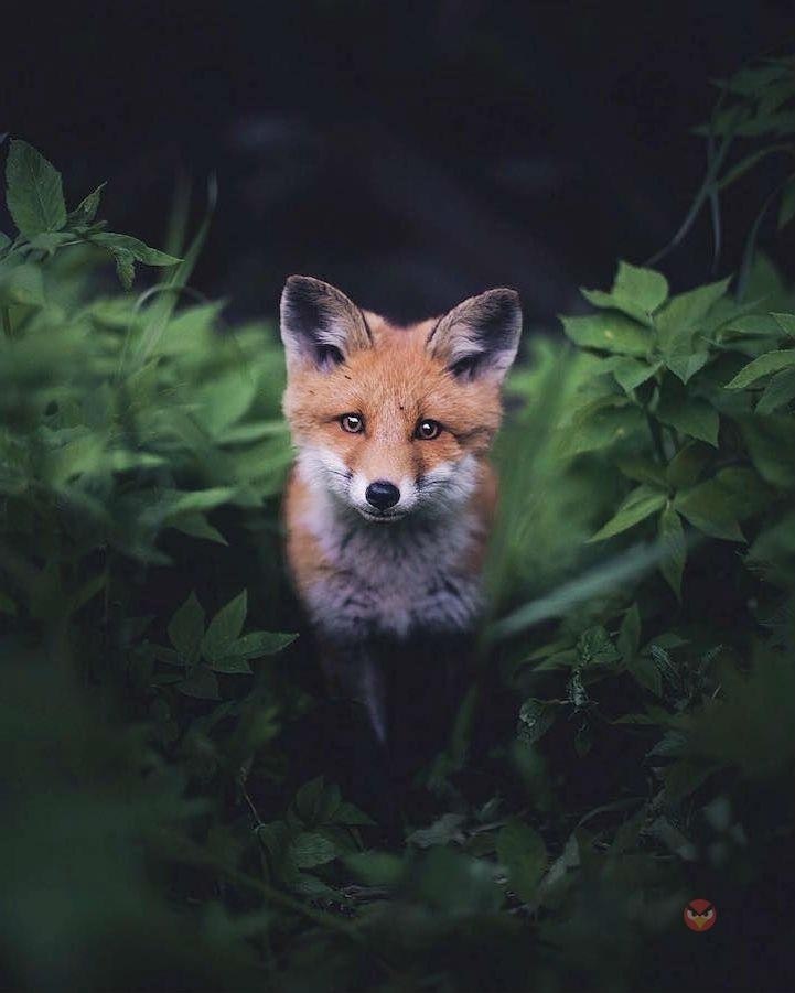       . - 3