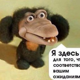 ���� ������, ������, 38 ��� - ��������� 17 ������ 2019