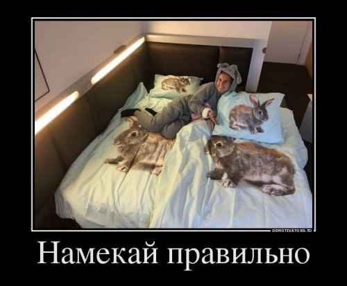  - 1  2019  15:04