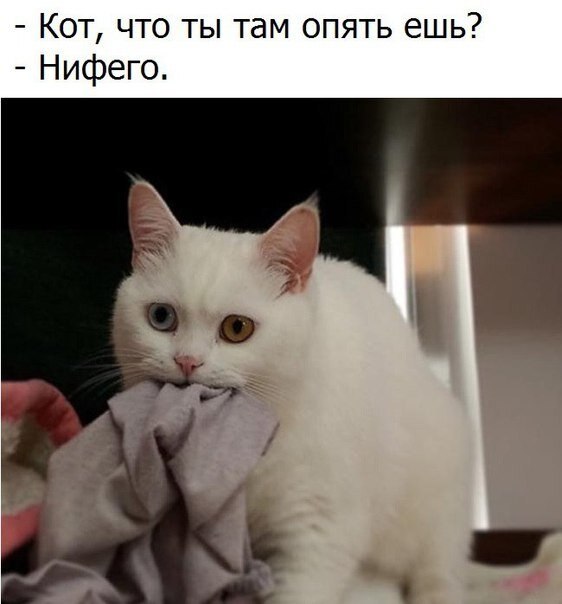    - 2  2019  03:29