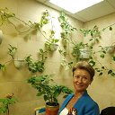 ���� �����, ������, 59 ��� - ��������� 4 ������� 2019