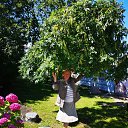 ���� ������, ����, 65 ��� - ��������� 6 ���� 2019 � ������ ���� ����������