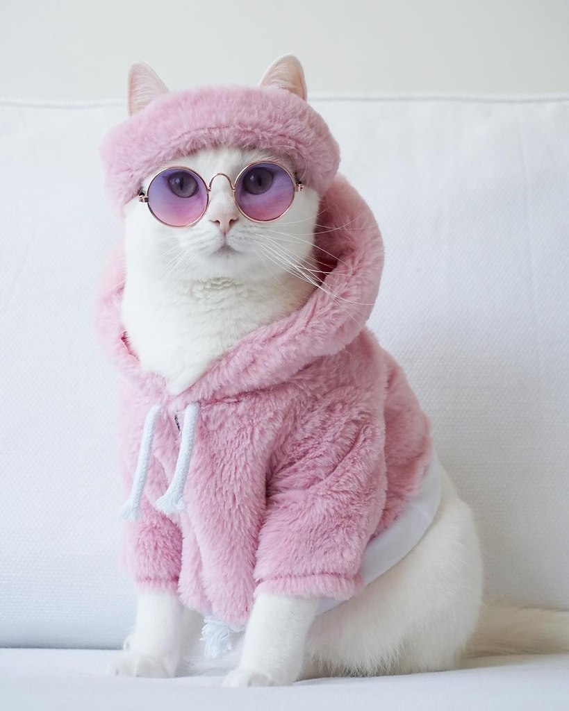 Zappa - ������ �����, ������������� ������� ������ �����.����������� ����� ����� - �������� ... - 2