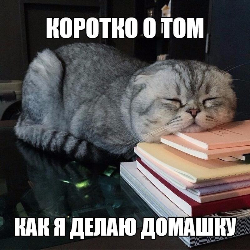   - 24  2019  18:37
