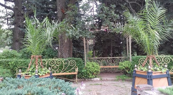 Дорогие Друзья мои... Только по секрету хочу Вам рассказать : с каким огромным удовольствием ... - 7