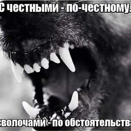 ���� Karapet, ������, 33 ���� - ��������� 17 ������� 2019