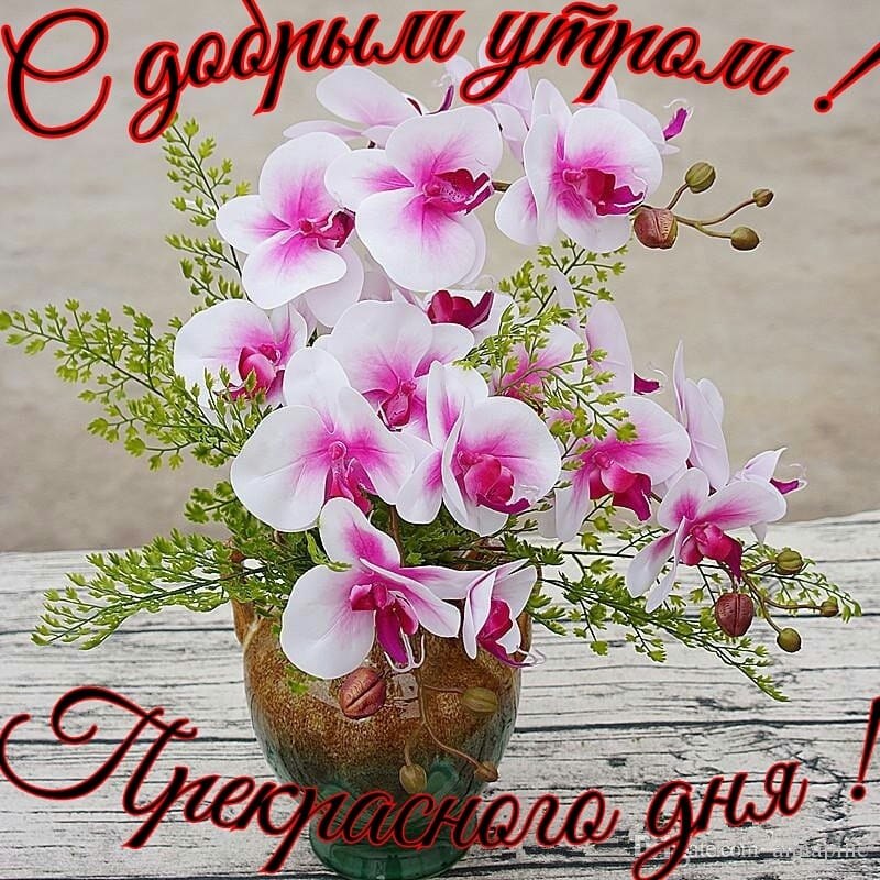   ,    . - 18  2019  08:33 - 3
