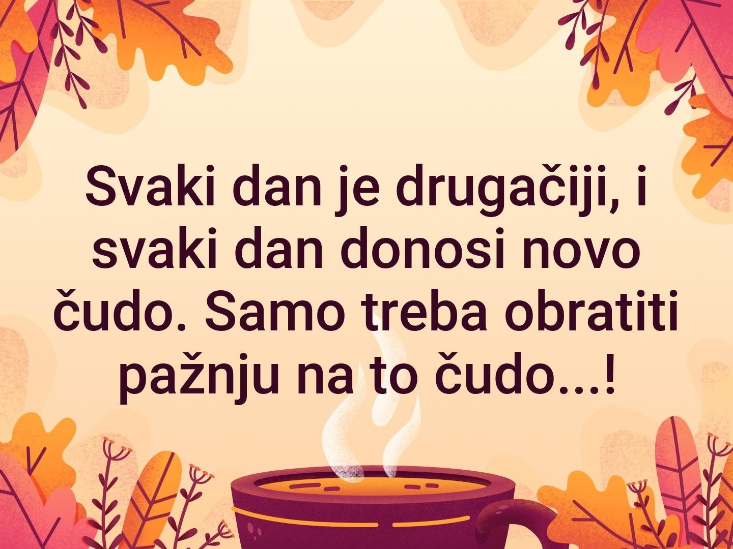 Pirados In - 5  2019  19:27
