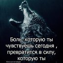 ���� �����, ����� - ��������� 7 ������� 2019 � ������ ���� ����������