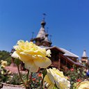  , , 50  -  1  2019   1 2019