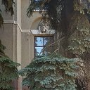 ���� �����, �������, 43 ���� - ��������� 27 ������� 2019 � ������ ���� ����������