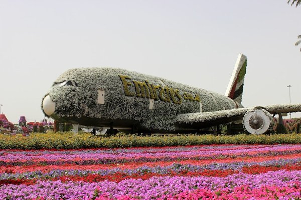     (Dubai Miracle Garden).  ?