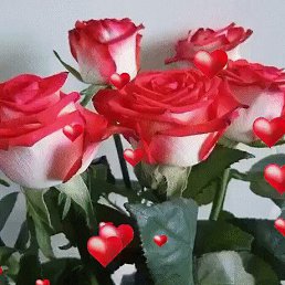  Hamid, , 49  -  19  2019
