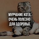  ,  -  24  2019    