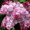 ���� ����, ����� - ��������� 26 ���� 2019 � ������ ���� ����������