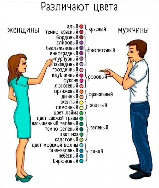 Наглядно о том,какая разница между нами.. Женщины и мужчины - 8