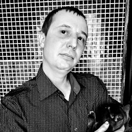 �������, 41 ���, ������������