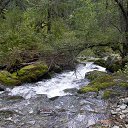  , -, 64  -  20  2019    