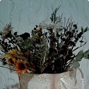 �����, ���� �� �����