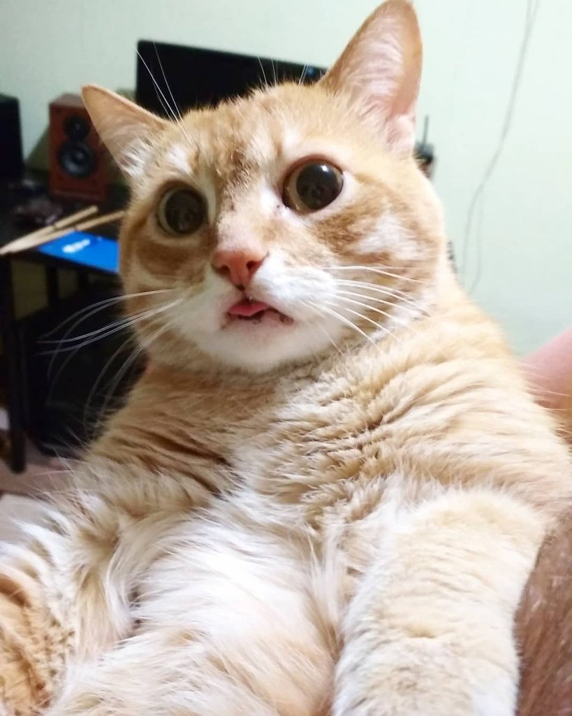 - ,      .. -  ?!.. - 2