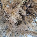  , , 50  -  9  2019    2019