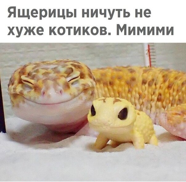 ? ,  ! - 5  2019  21:04