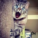 ���� ������, �����, 55 ��� - ��������� 14 ������� 2019 � ������ ���� ����������
