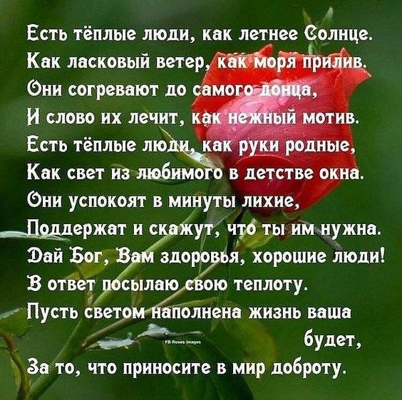   ,    . - 22  2019  18:41