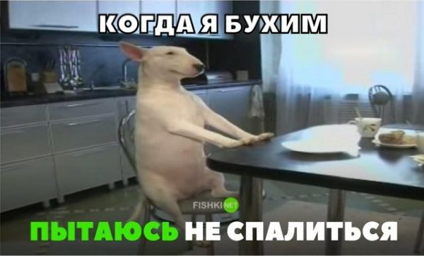 ***Victoria Viktorovna*** - 4  2019  09:35