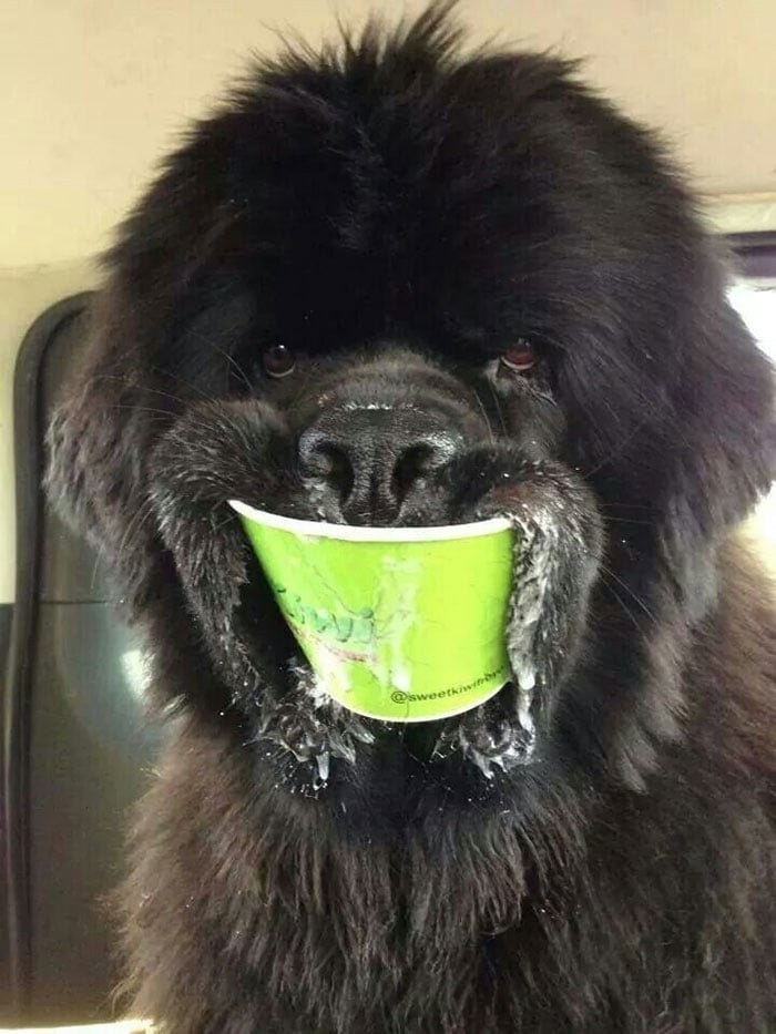      ! - 7