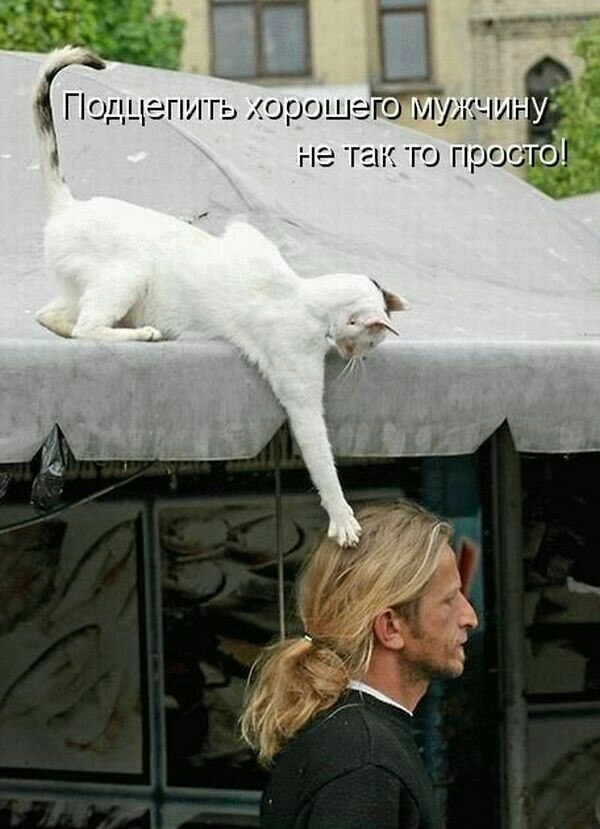 ***Victoria Viktorovna*** - 13  2019  14:54